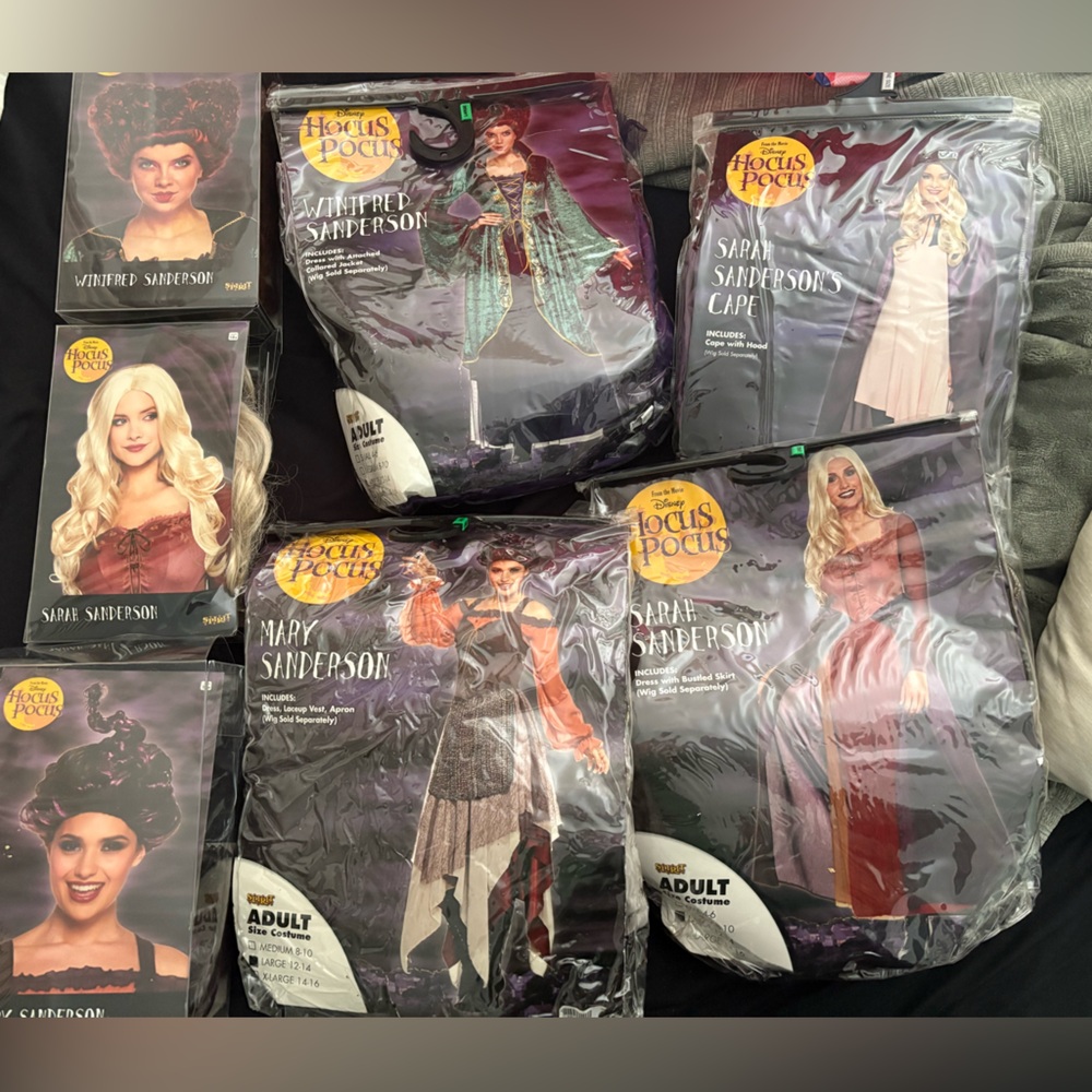 Hocus Pocus Sanderson Sisters Costumes